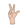 3