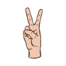 v